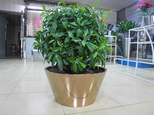 廣東汕頭不銹鋼花盆哪家做的好？